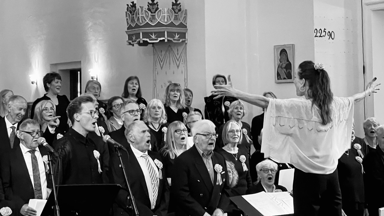 Fredrikstad demenskor