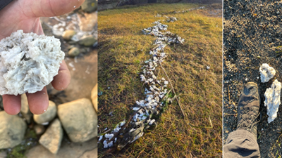 Klumpene er antatt å ikke være giftige, og det er harde klumper som ikke vil påvirke fjærdrakten til sjøfugl.
