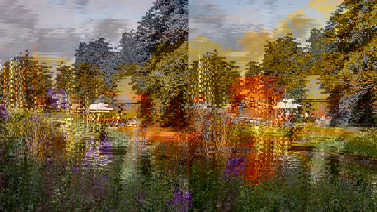 Isegran med trebåter i bakgrunn. Gress og blomster i forgrunn
