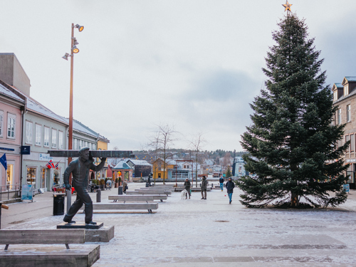 Juletre på blomstertorget