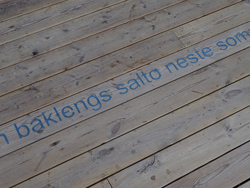 Bilde av skrift: En baklengs sommer