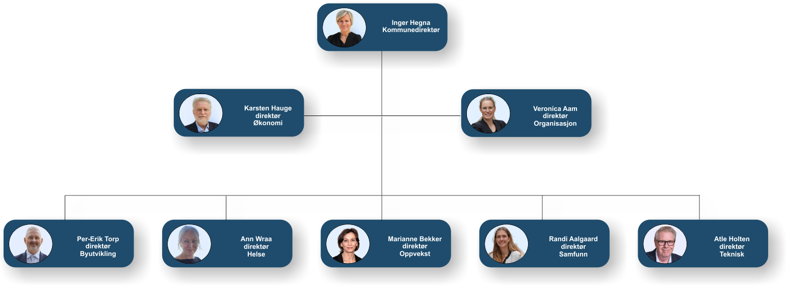 Overordnet organisasjonskart for Fredrikstad kommune