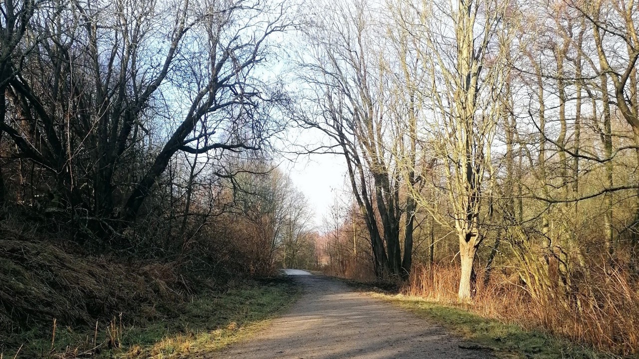 Langs Glommastien