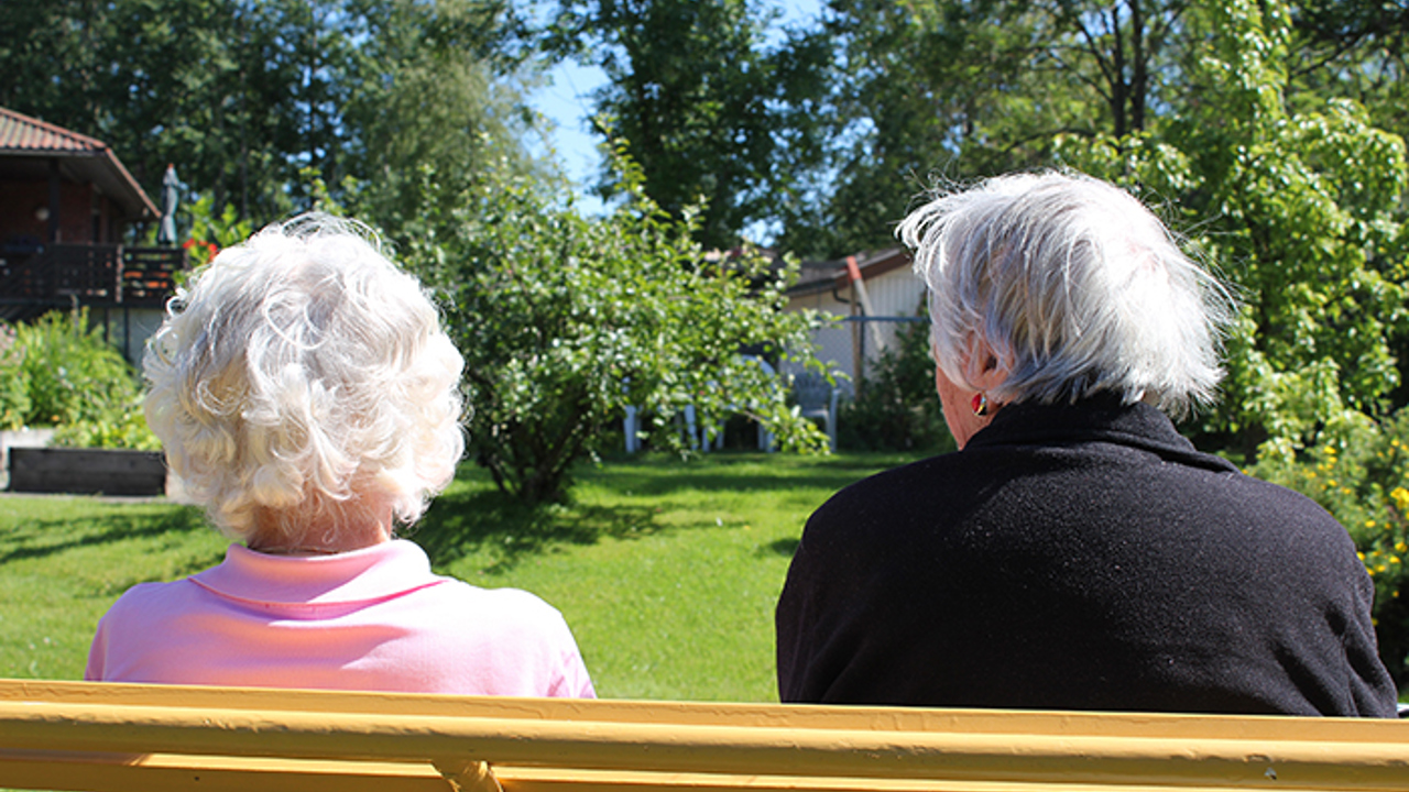 to eldre personer sittende på en benk sett bakfra
