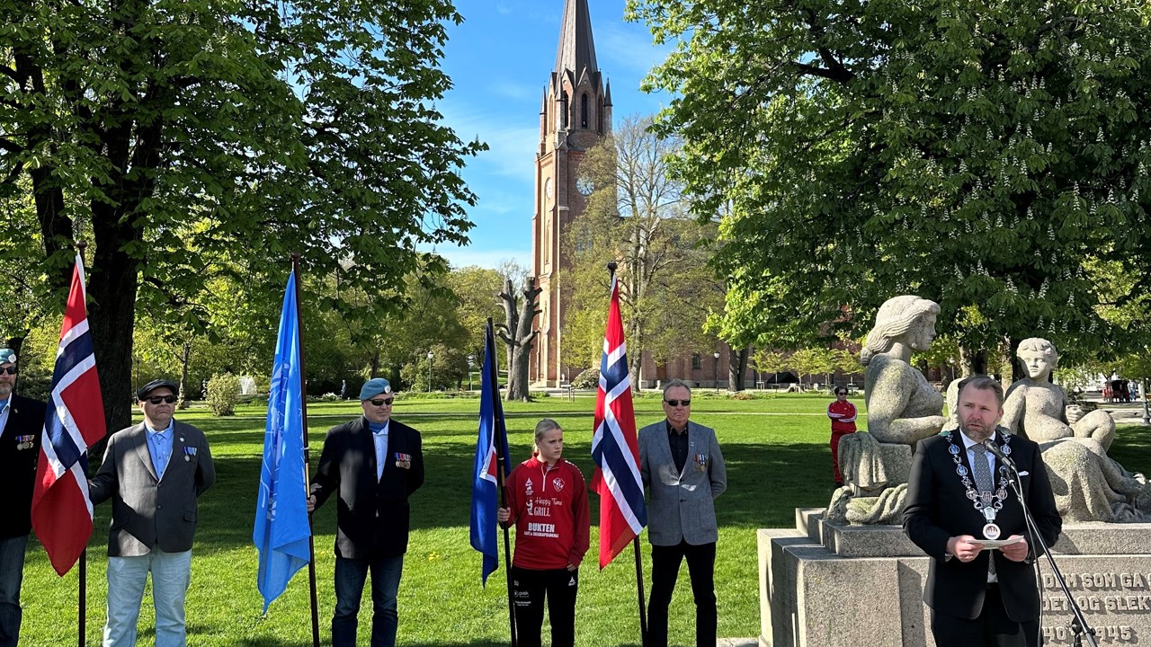 Markering av veterandagen