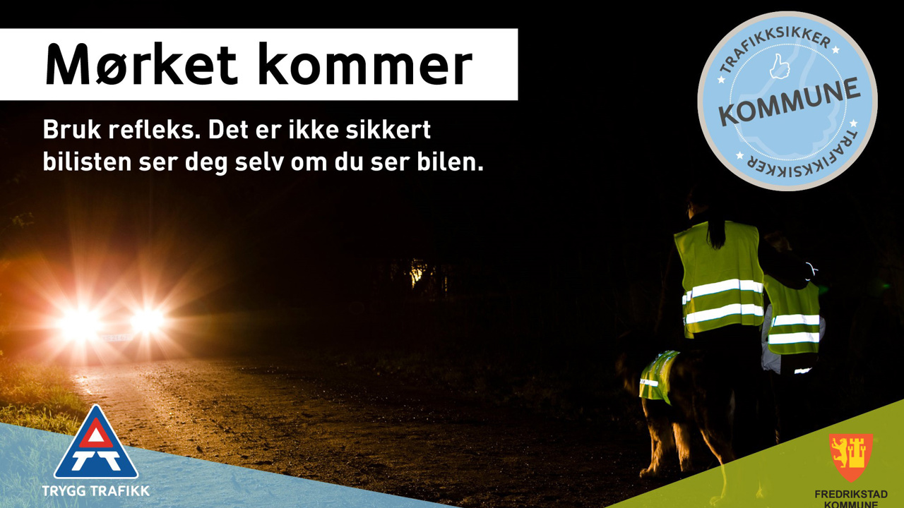 Møket kommer, bruk refleks