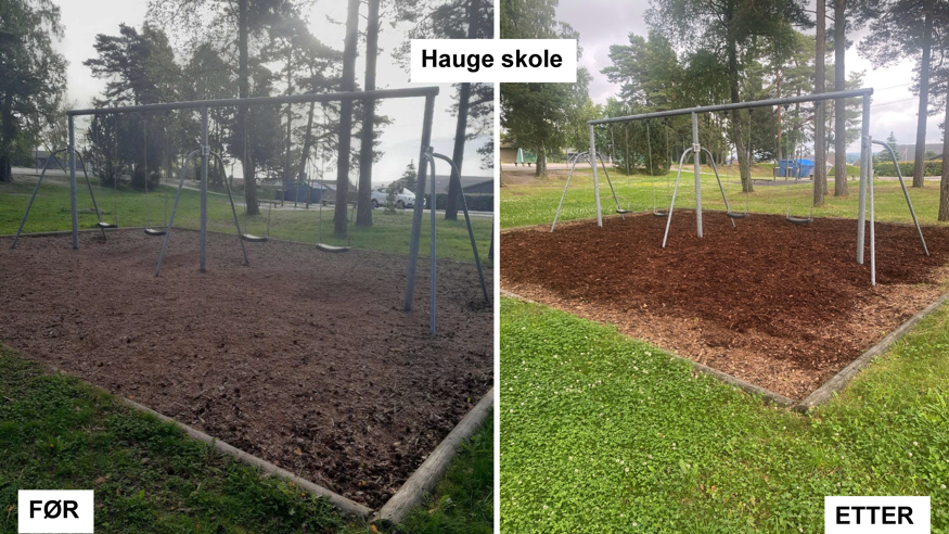 Hauge skole, ny bark under huske