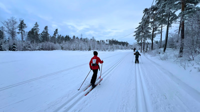 To barn står på ski i vinterlandskap 