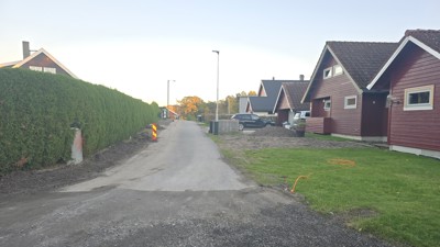 Wielsgaards vei